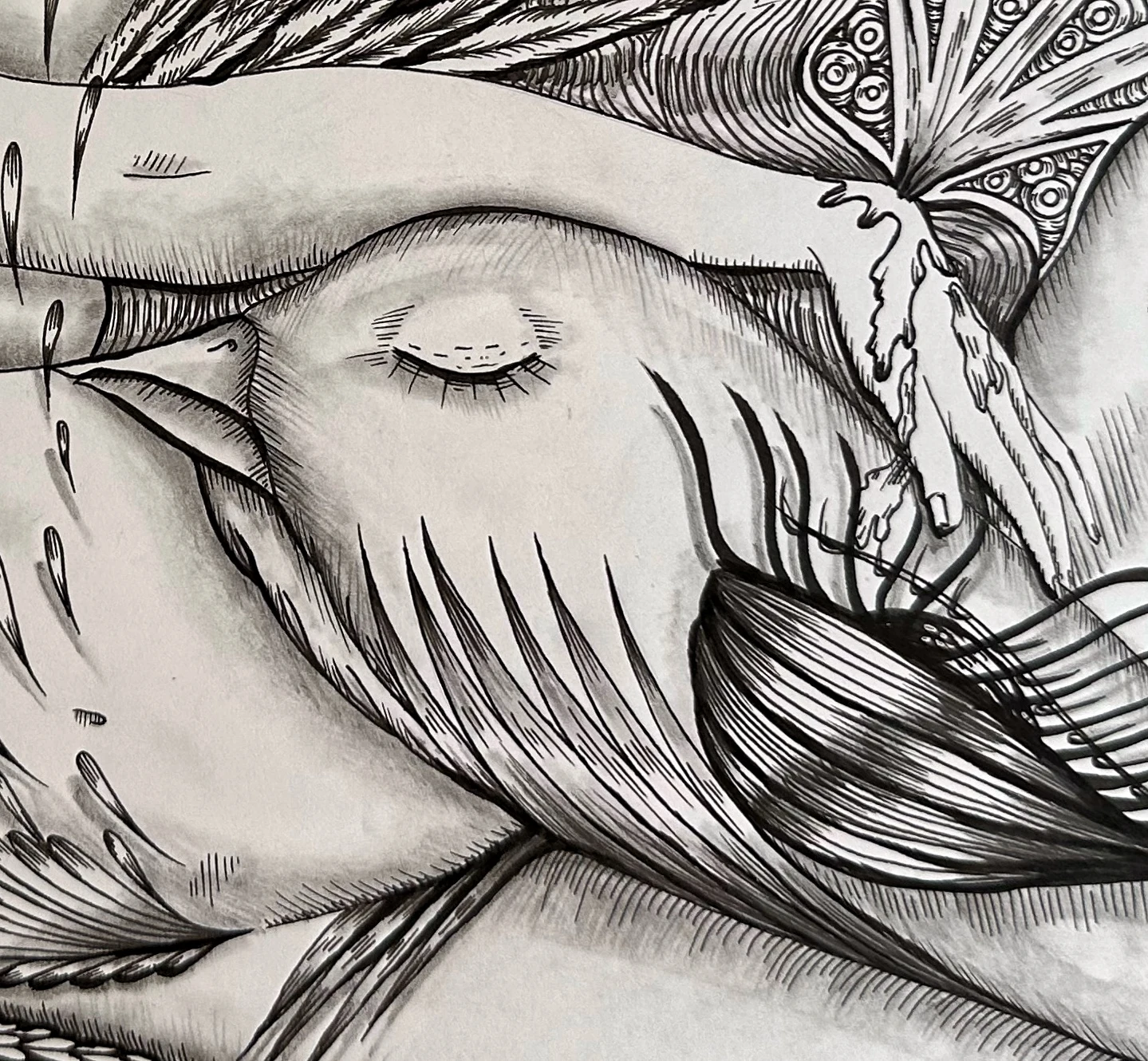 Follow the flow — fragment 1